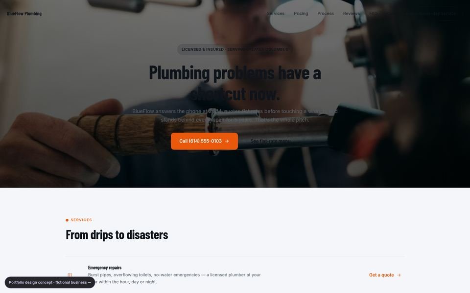 BlueFlow Plumbing Bold Conversion website screenshot