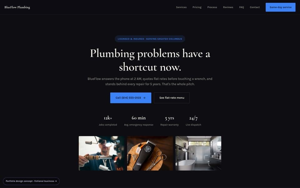 BlueFlow Plumbing Luxe Dark website screenshot